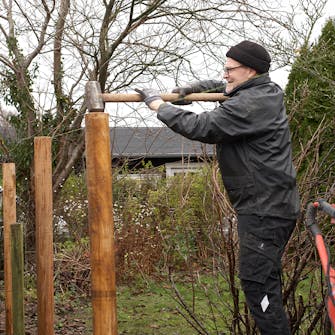 slanor med bark slanor med bark